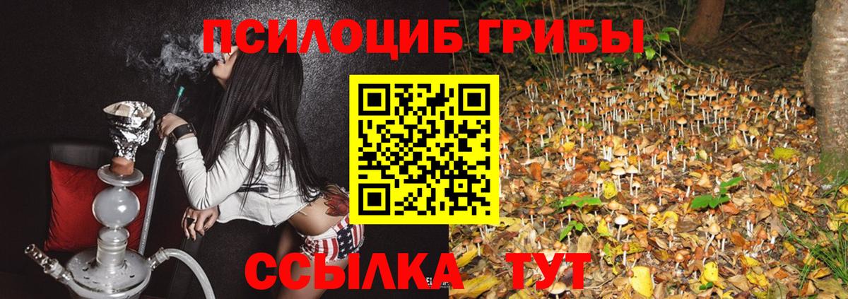 Галлюциногенные грибы мухоморы Малгобек